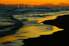 夕日の中風を読む