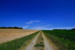 空と大地の中で～