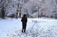 雪マラソンランナ～