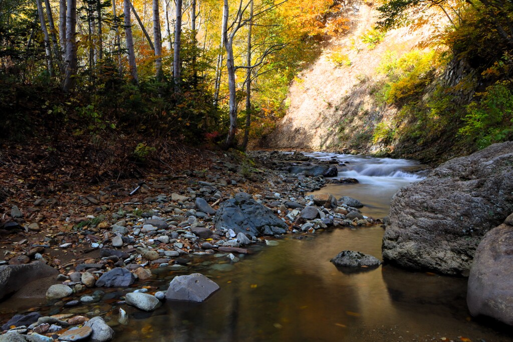 秋、川の流れのように♪