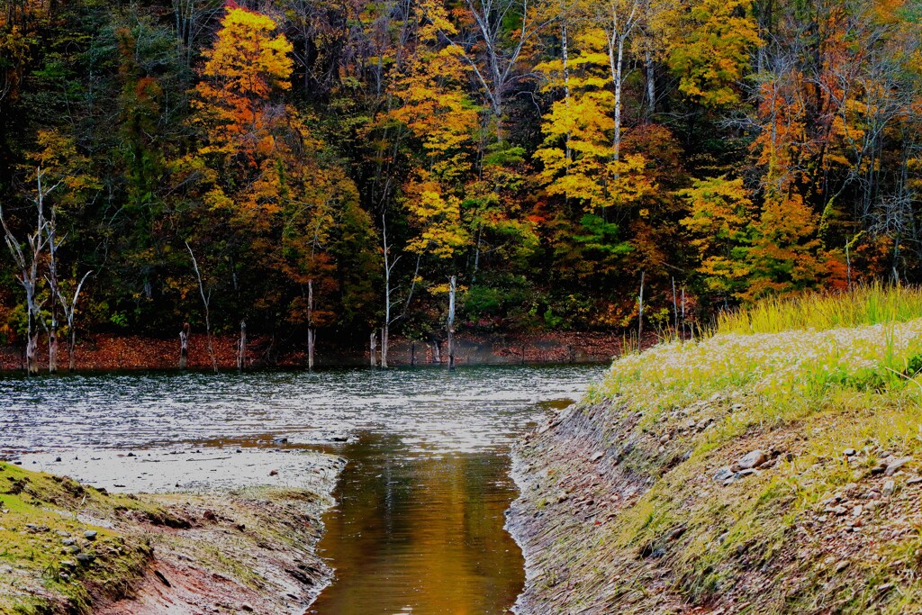 あ～秋ですね♪