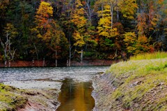 あ~秋ですね♪ あ~秋ですね♪