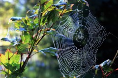 見えすぎ 見えすぎ