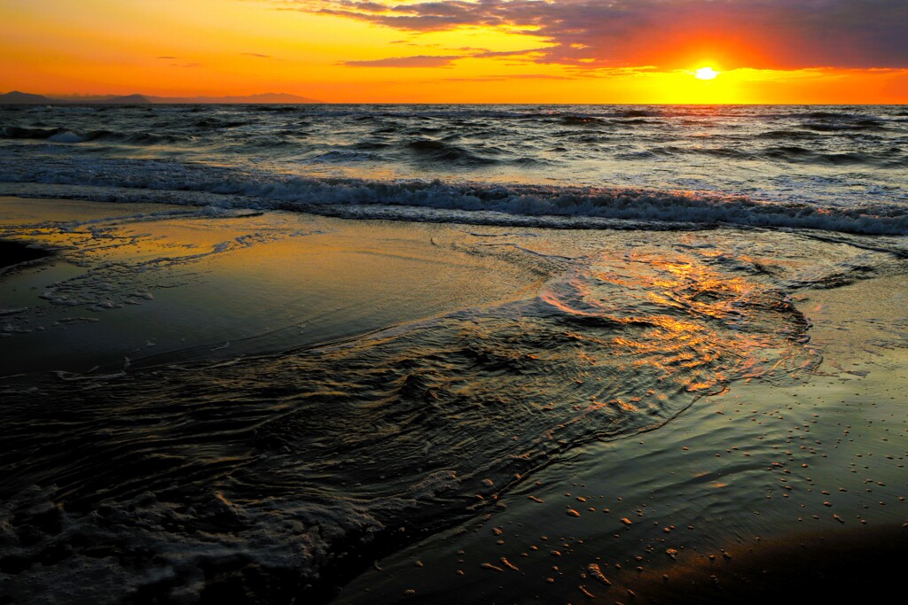 夕日の海に注ぐ