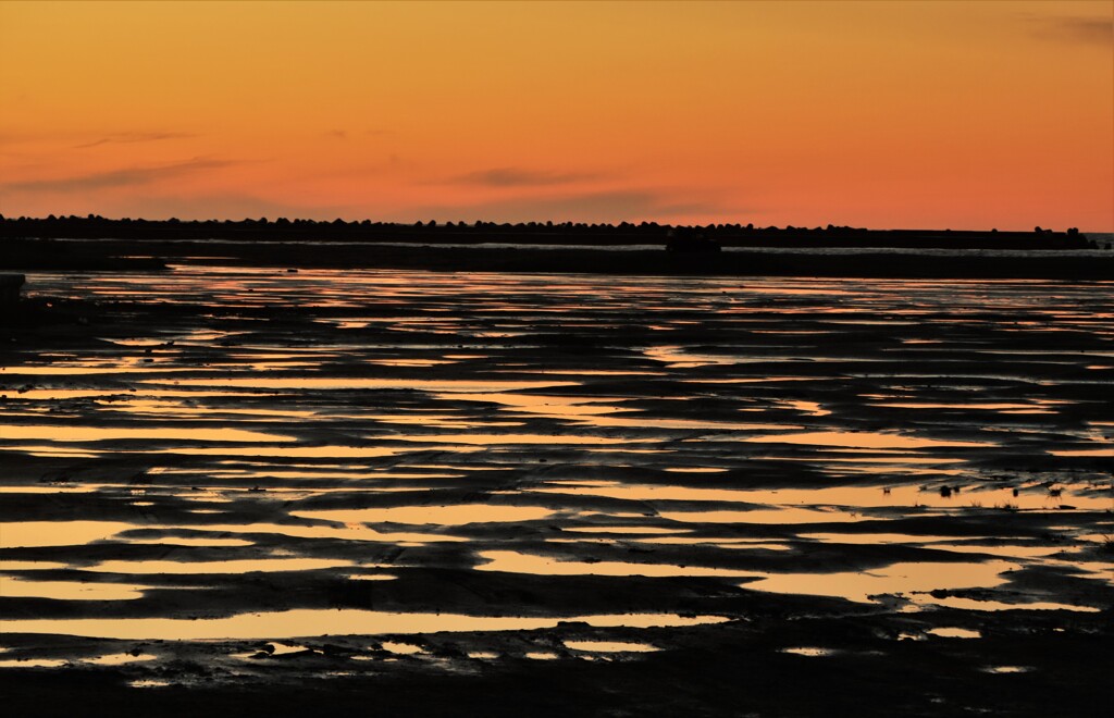 海岸線の水たまり