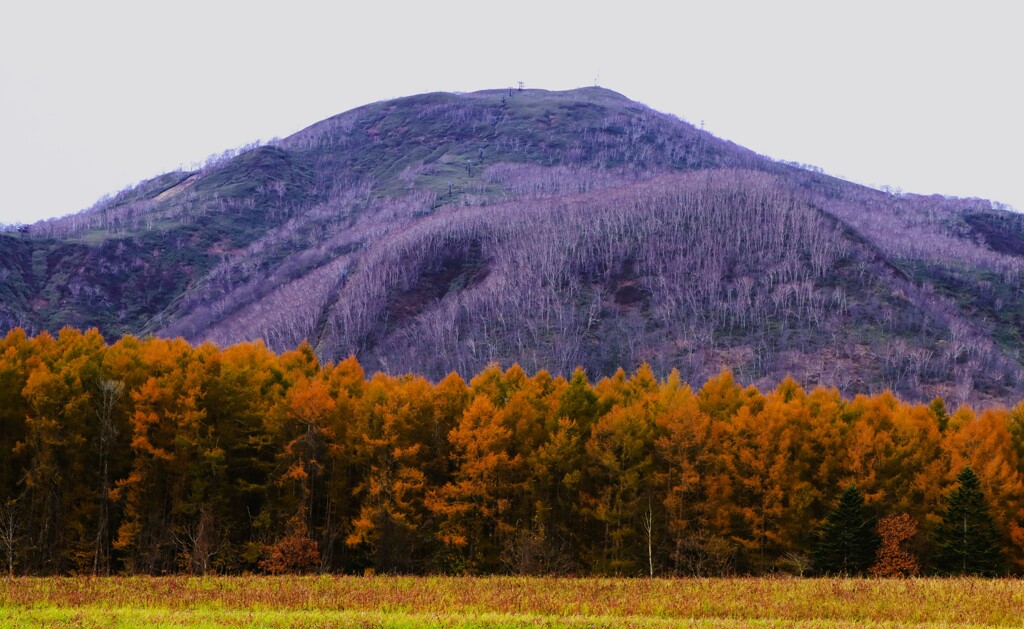 晩秋のニセコ連邦