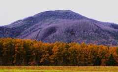 晩秋のニセコ連邦 晩秋のニセコ連邦