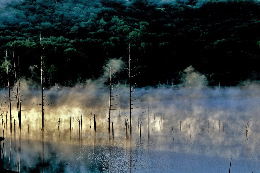 赤井川村落合ダムⅡ