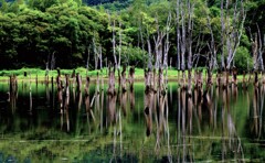 赤井川村落合ダム湖