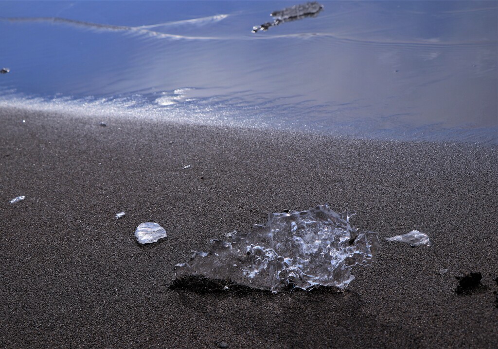 石狩川河口のジュエリーアイス