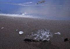 石狩川河口のジュエリーアイス