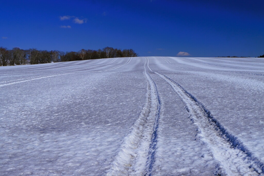 早く雪解けに～