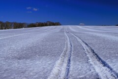 早く雪解けに～
