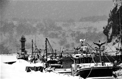 冬の小樽祝津漁港（蔵出）