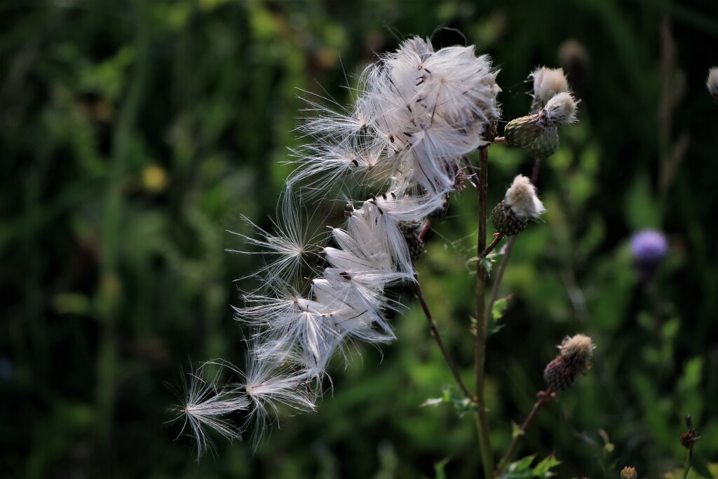 別れ、さようなら～