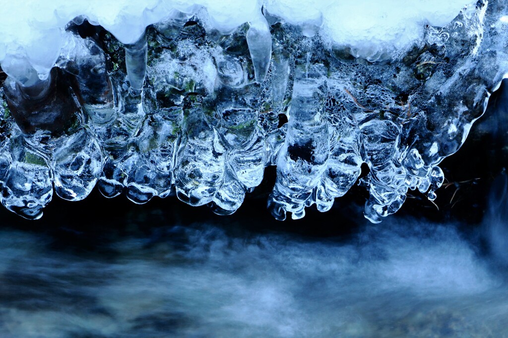 もうこの様な季節（蔵出）