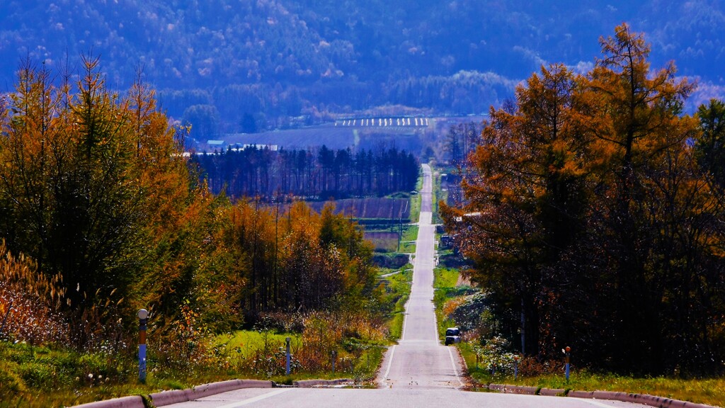 晩秋（蔵出Ⅰ）