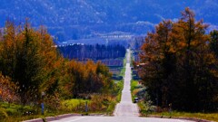 晩秋(蔵出Ⅰ) 晩秋(蔵出Ⅰ)