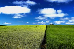 6月大空と大地の中で♪