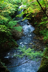 星置川へ