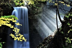 白糸の滝と木漏れ日