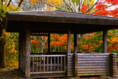 東屋で一休み 東屋で一休み