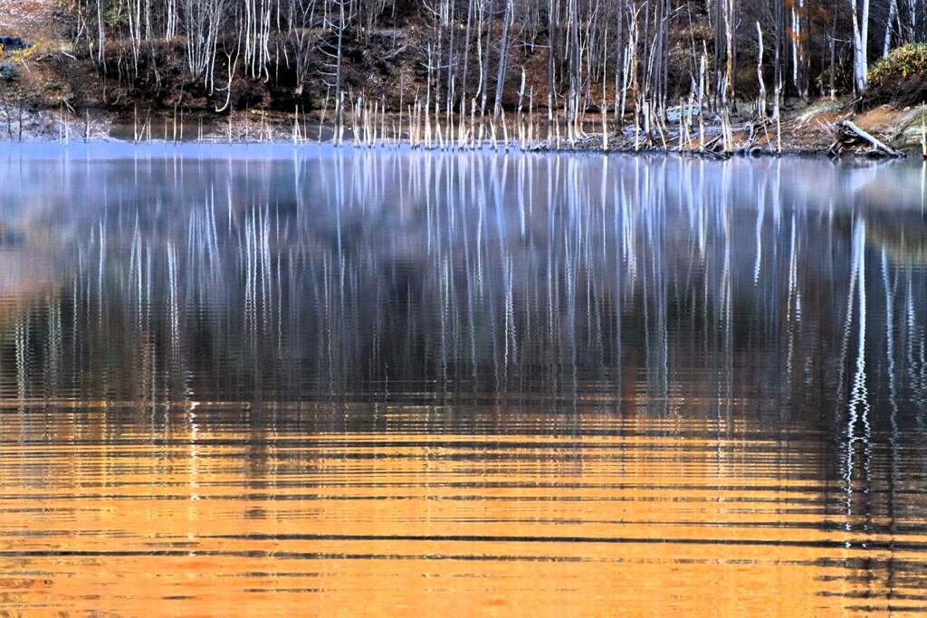 赤井川村落合ダム湖