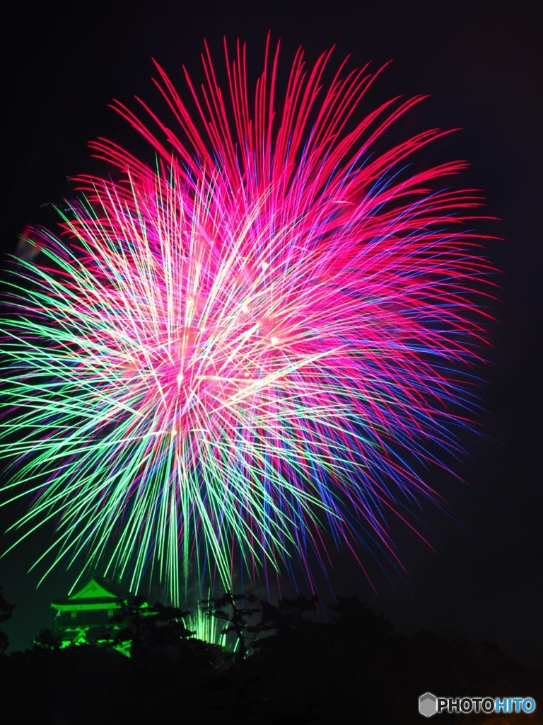 岡崎城下家康公夏まつり
