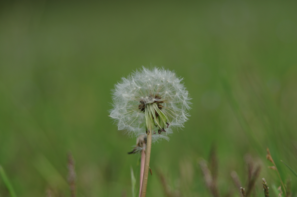近所の公園で、