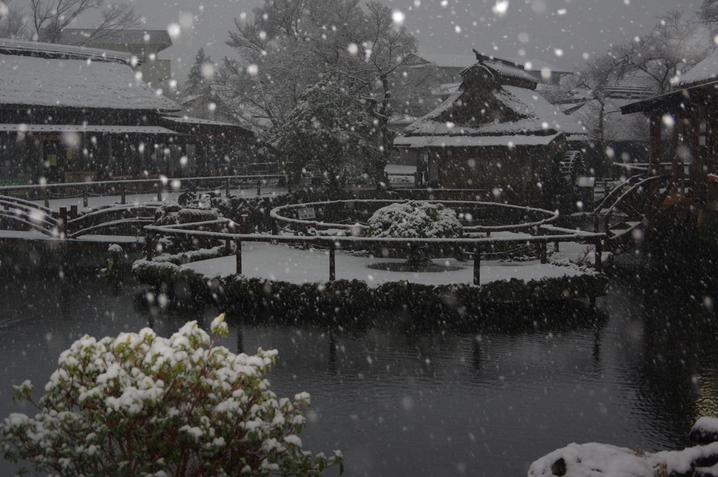 雪降る忍野八海