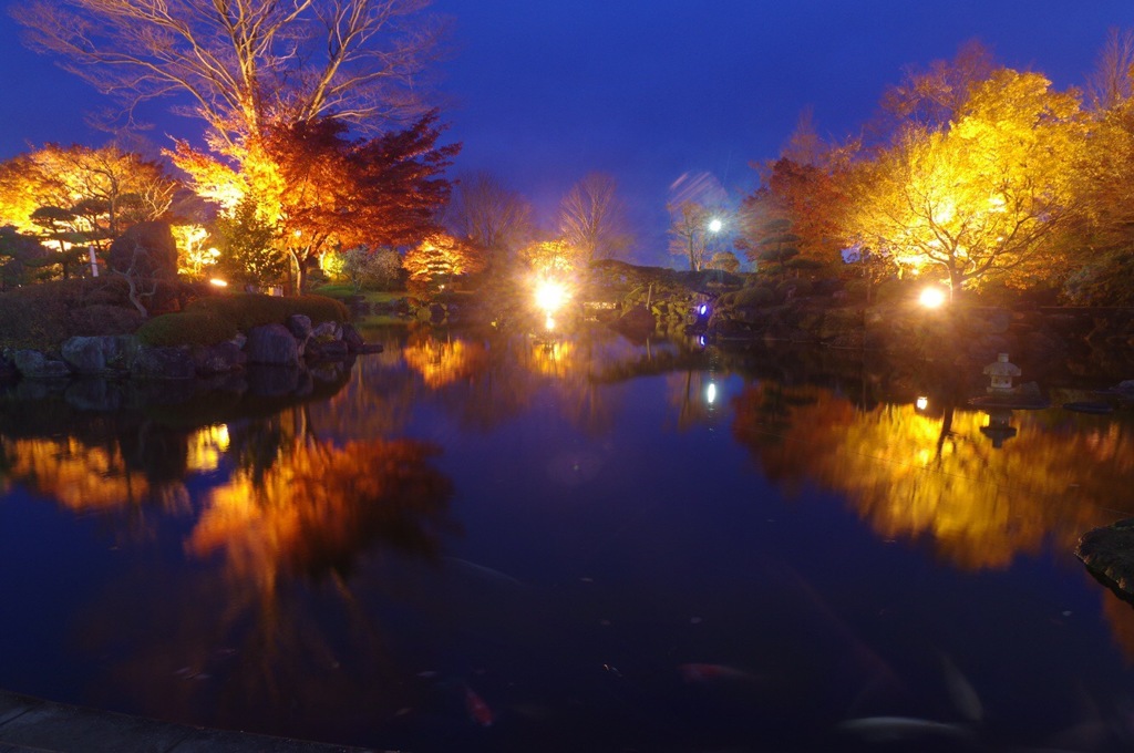 冬桜を見に埼玉古墳公園