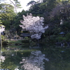 金沢  兼六園