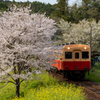春が似合う小湊鐵道