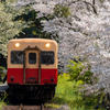 春が似合う小湊鐵道