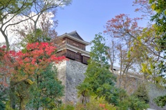 ー松山城と紅葉ー