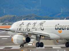 高知竜馬空港にて⑤