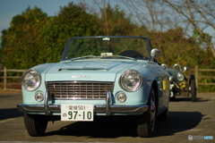 IMGP8931
