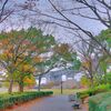 ー紅葉と瀬戸大橋ー