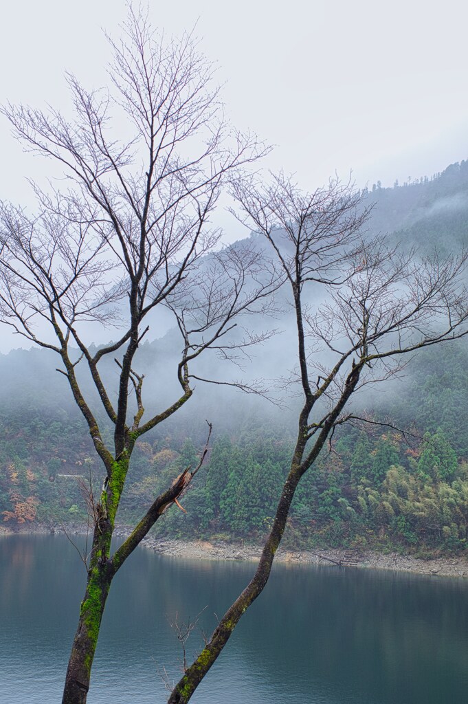 －風景－