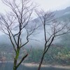 －風景－