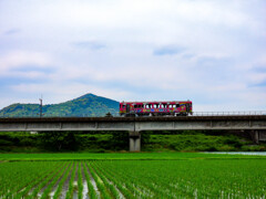 ラッピング列車