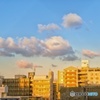 IMGP9074-01