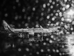 雨の羽田空港