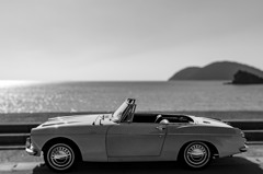 DATSUN SPL310
