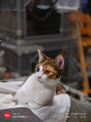 モデル　あんちゃん