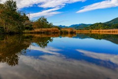 めだか池の風景