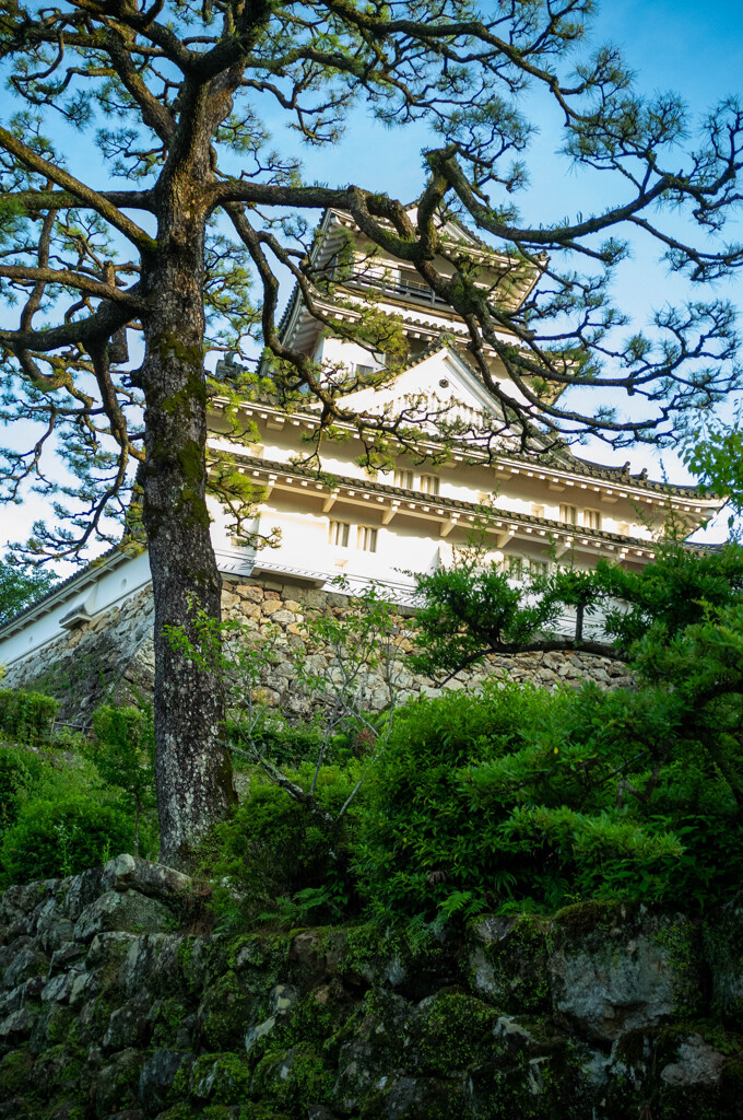 高知城