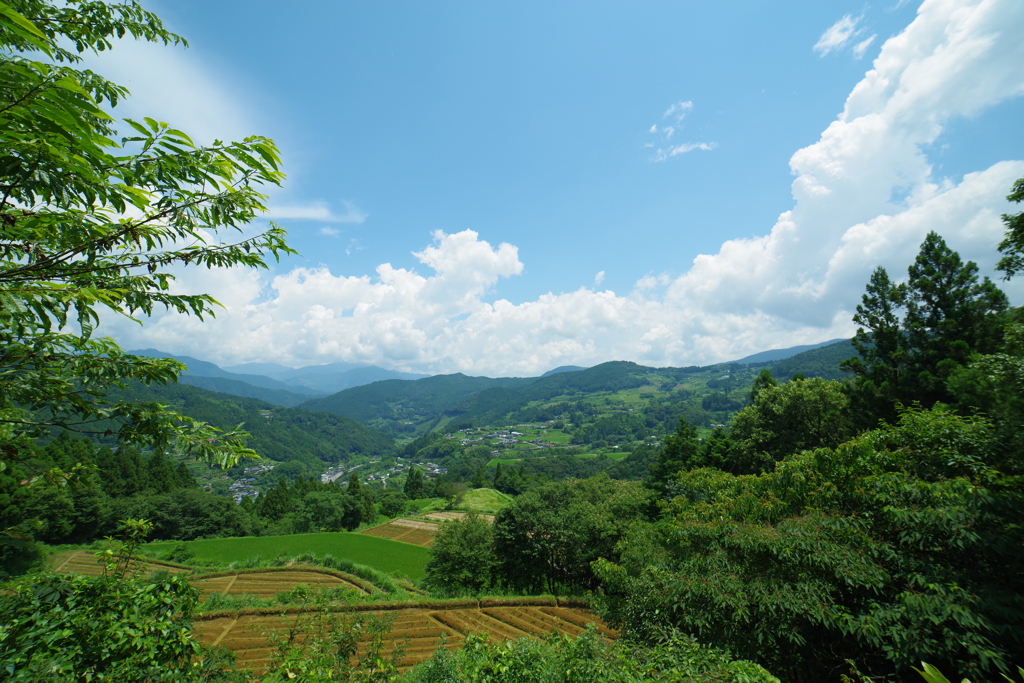 ー里山の風景ー