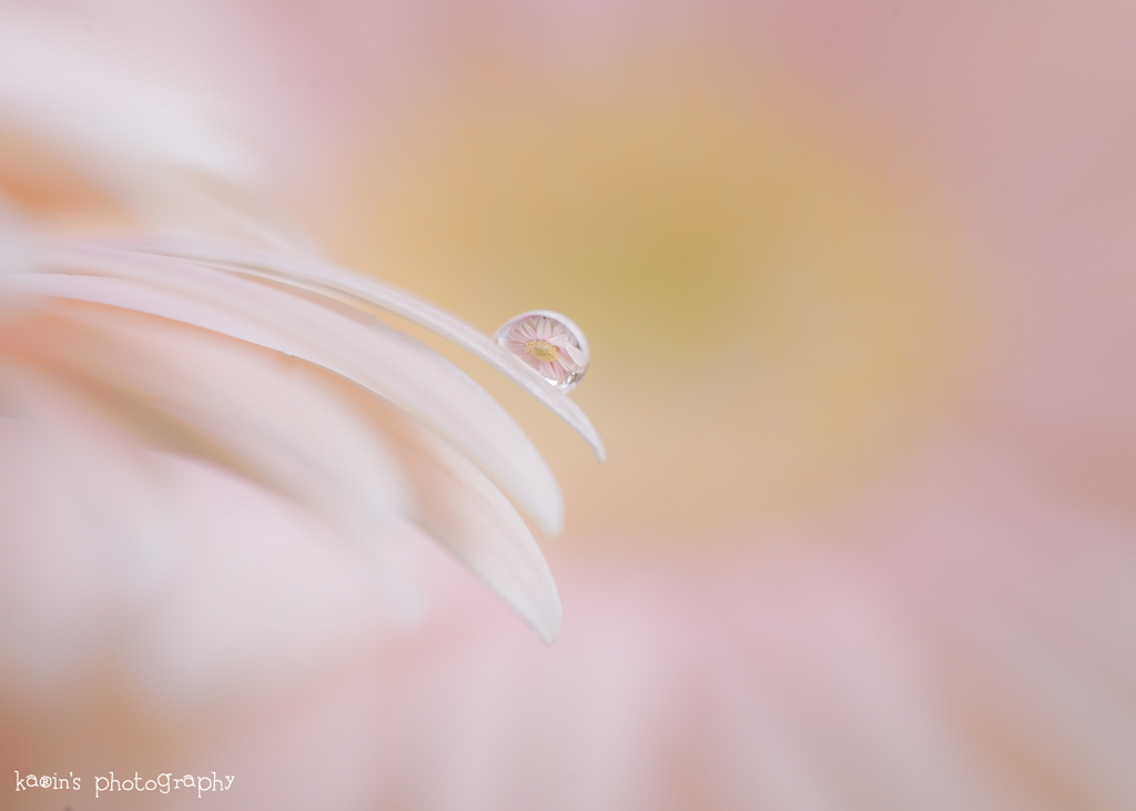 Water drop