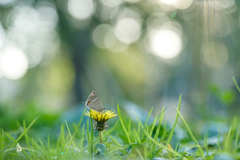 ヒカリに包まれて❁*.ﾟ